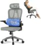 Chaise ergonomique FLEXISPOT OC3 Lite (soutien lombaire, accoudoirs 2D, appui tête réglable) à 85,48 €