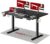 Bureau Assis Debout électrique SANODESK + plateau 120×60 cm à 99,99 €
