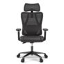 Chaise de bureau ergonomique ACGAM CG-5455M à 139,99 €
